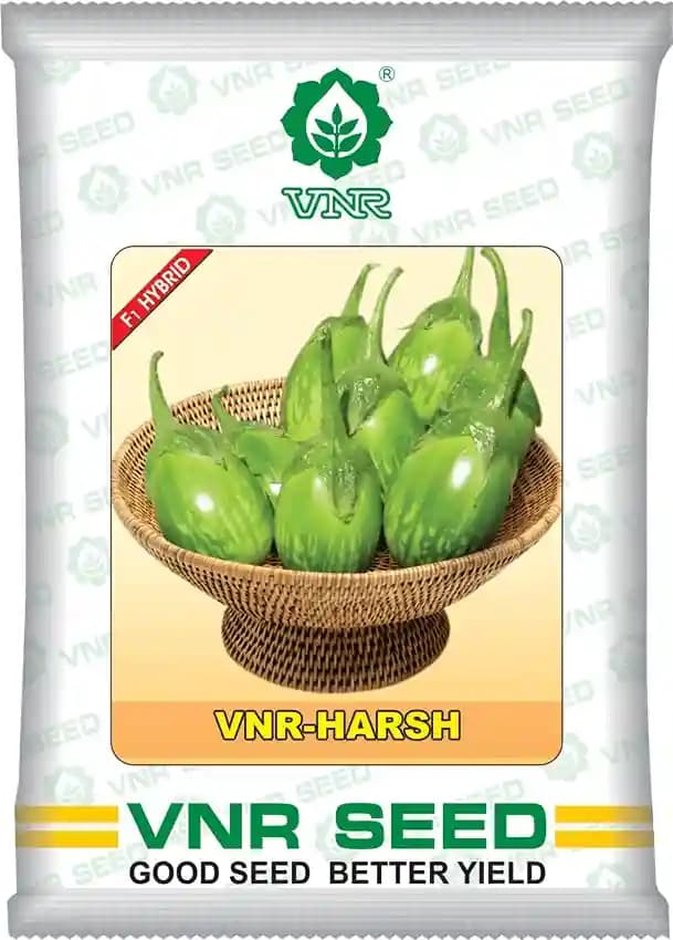 VNR Harsh Hybrid Brinjal Seeds, Began Ke Beej, Vegetable Seeds, Best In Germination.