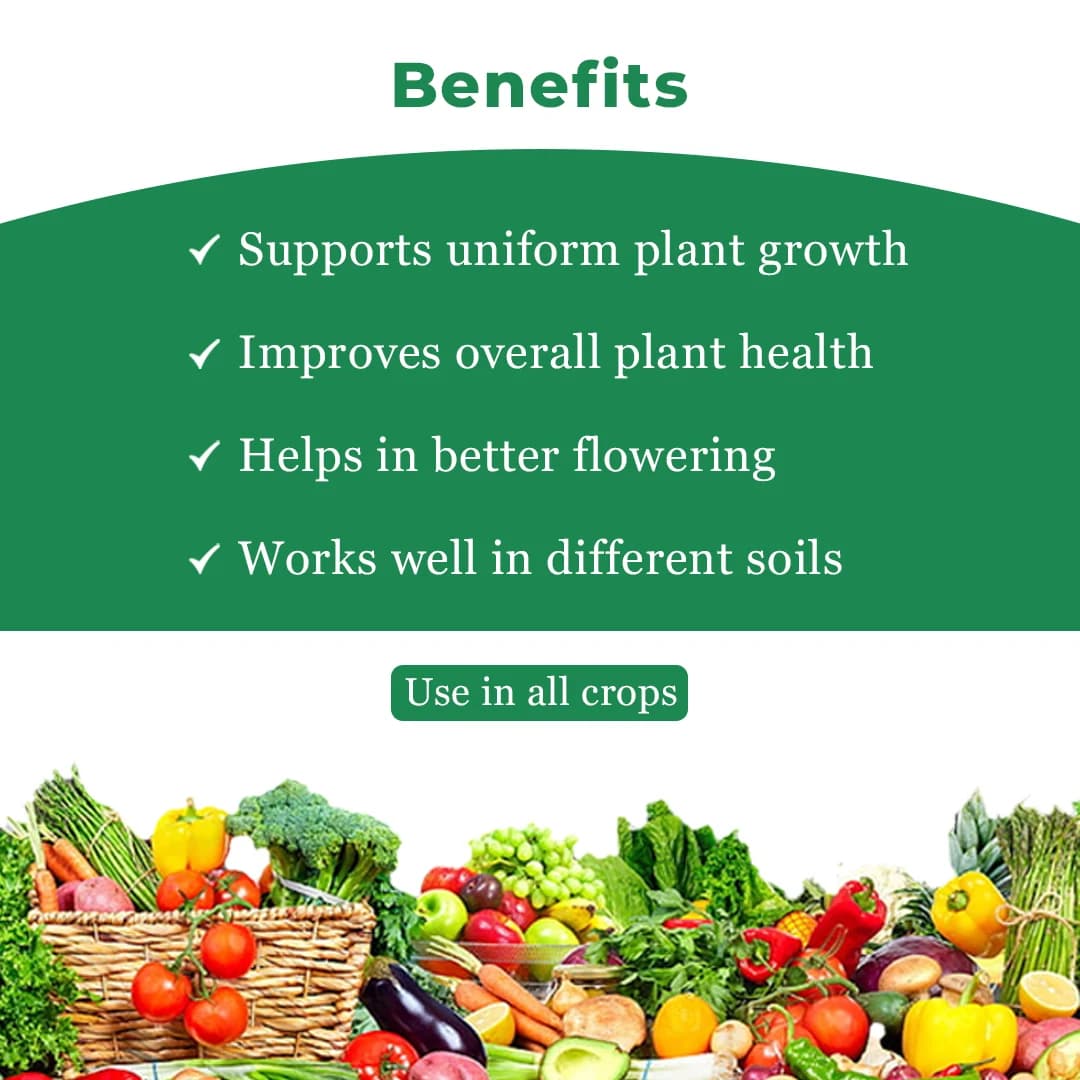 Anand Agro Dr. Grow Plant Growth Regulator - Image 4