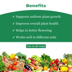 Dr. Grow - Gibberellic Acid 0.001% L 4