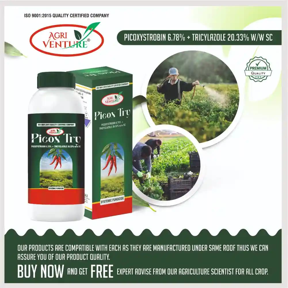 Agriventure Picox Try Picoxystrobin 6.78% + Tricyclazole 20.33% SC Fungicide - Image 5