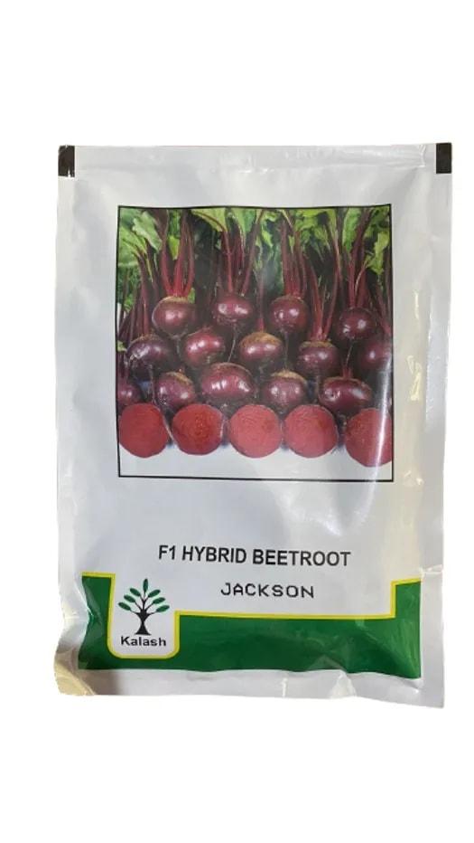 Kalash Beetroot KSP 5340 Jackson F1 Hybrid Seeds , Upright With Wider Adaptability (Expiry 16-04-2024)