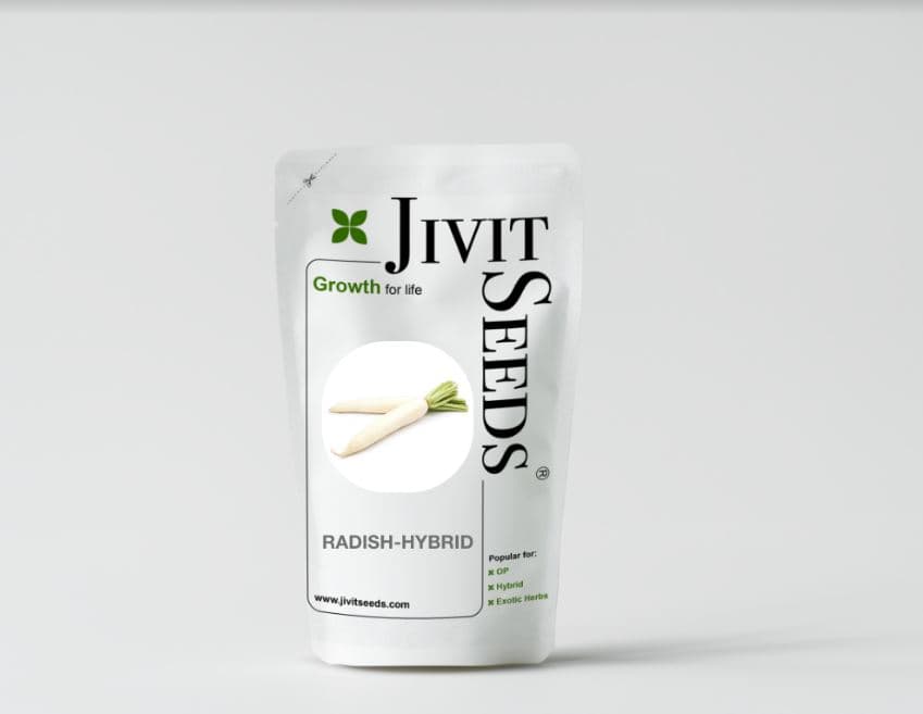 Jivit F1 Hybrid Royal Radish Seeds, Small Foliage with Dark Green Leaves, Excellent Tolerance Against Virus