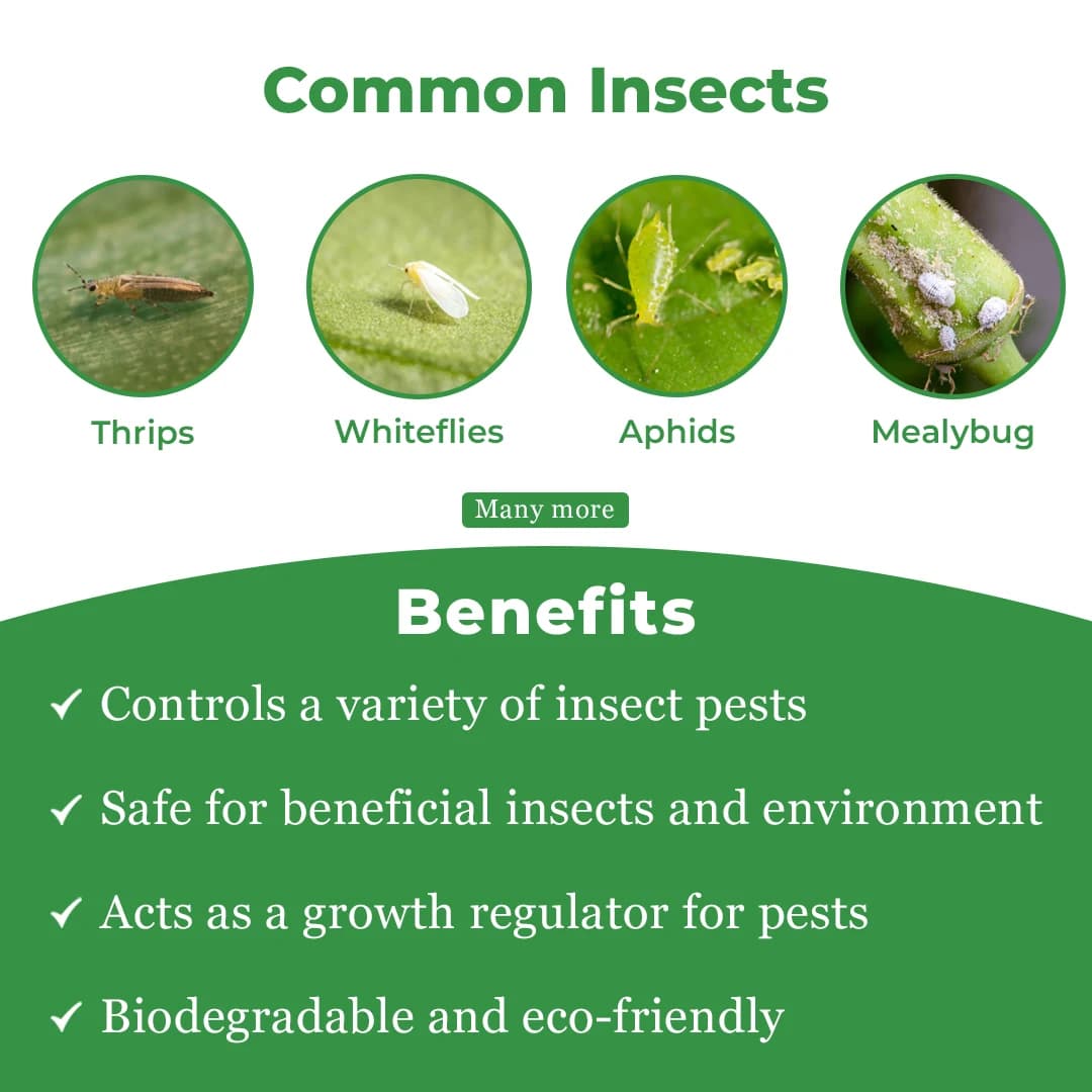 Neemol Insecticide - Neem Oil 10000 PPM - Image 3