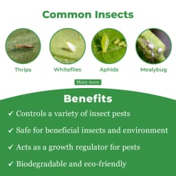 Neemol - Greenpeace Neem Oil Extract Azadirachtin 10000 PPM, Natural Insecticide. 3
