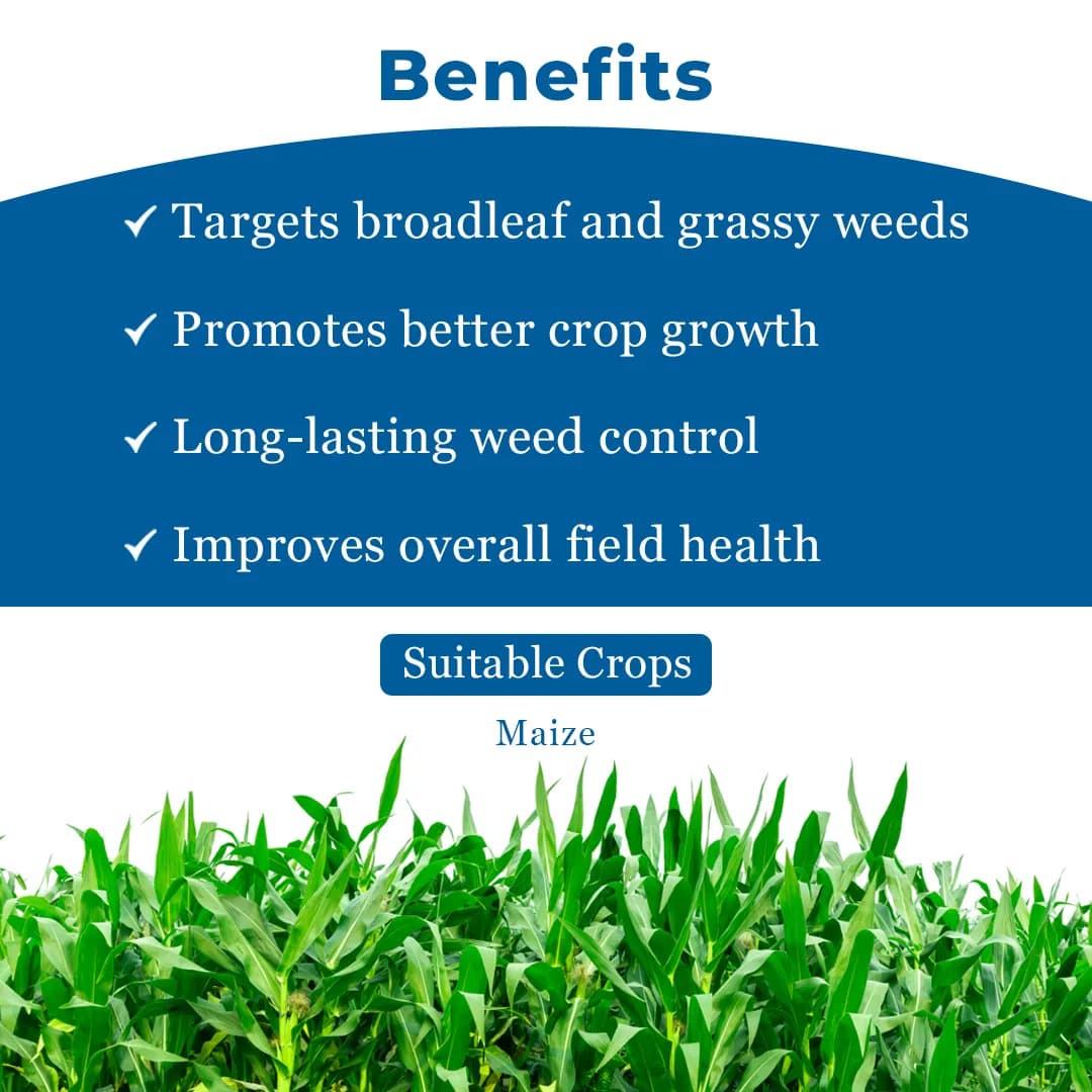 PI Industries Elite Topramezone 33.6 % SC, Corn Specific Early Post Emergent Herbicide - Image 4