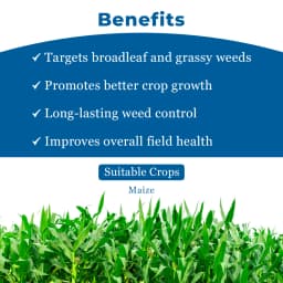 PI Industries Elite Topramezone 33.6 % SC, Corn Specific Early Post Emergent Herbicide 4