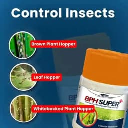 Katyayani BPH Super Plus Dinotefuran 15% + Pymetrozine 45% WG Insecticides, For Effective Rice Pest Protection 4