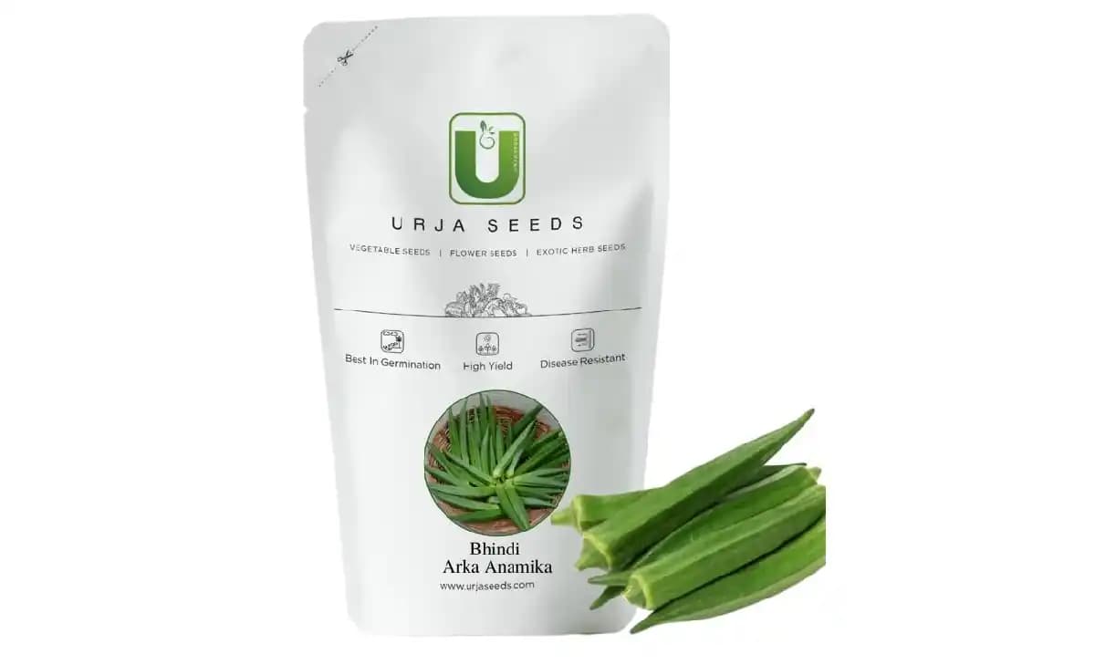Urja Arka Bhindi Seeds, OP Variety, Suitable For Spring Crop and Rainy Season - Image 2