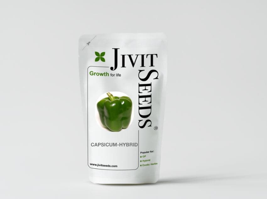 Jivit Hybrid F1 Capsicum Jivit Plus Seeds, Medium Tall Compact Plants, Dark Green and Glossy Fruits - Image 2