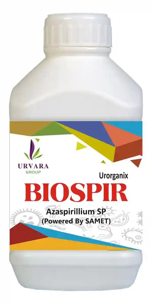 Biospir - Azaspirillum spp for nitrogen fixing in the soil for easy absorption of fixed nitrogen in soil by roots