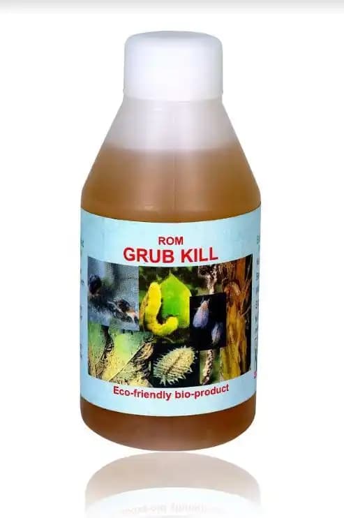 ROM Grub Kill (Control of Caterpillars and Grubs) Liquid, Best For Caterpillars, Borers, Ceetles - Image 1