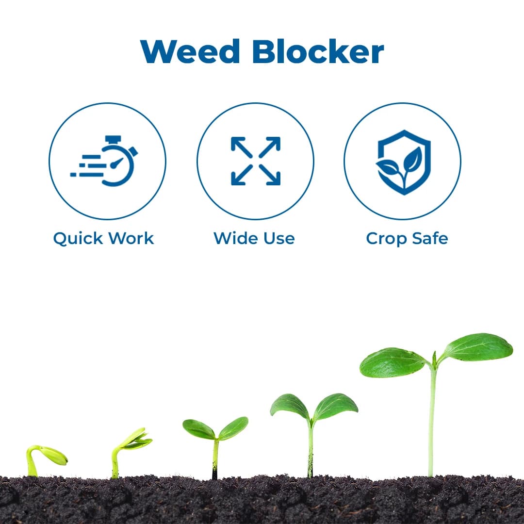 Ichiban Banker Herbicide - Image 3