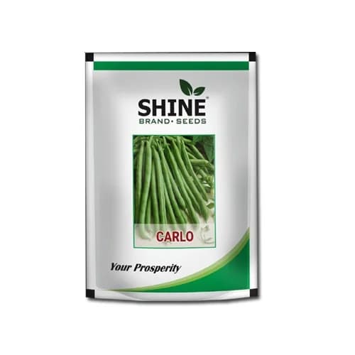 Pole Bean Carlo - Shine Brand Seeds, Vegetable Seeds, High Yielding Variety