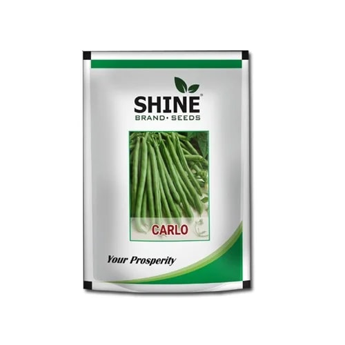 Pole Bean Carlo - Shine Brand Seeds, Vegetable Seeds, High Yielding Variety