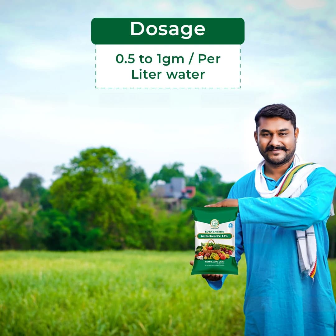 Instacheal Fe 12%, EDTA Chelated Ferrous 12%, EDTA Chelated Iron, Plant Nutrition, Micronutrient Ferrous - Image 5