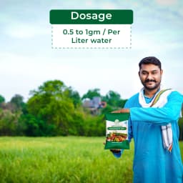 Instacheal Fe 12%, EDTA Chelated Ferrous 12%, EDTA Chelated Iron, Plant Nutrition, Micronutrient Ferrous 5