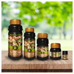 Hifield Ginger and Turmeric King Growth Promoter, Weight and Size Increase for Ginger and Turmeric. 4