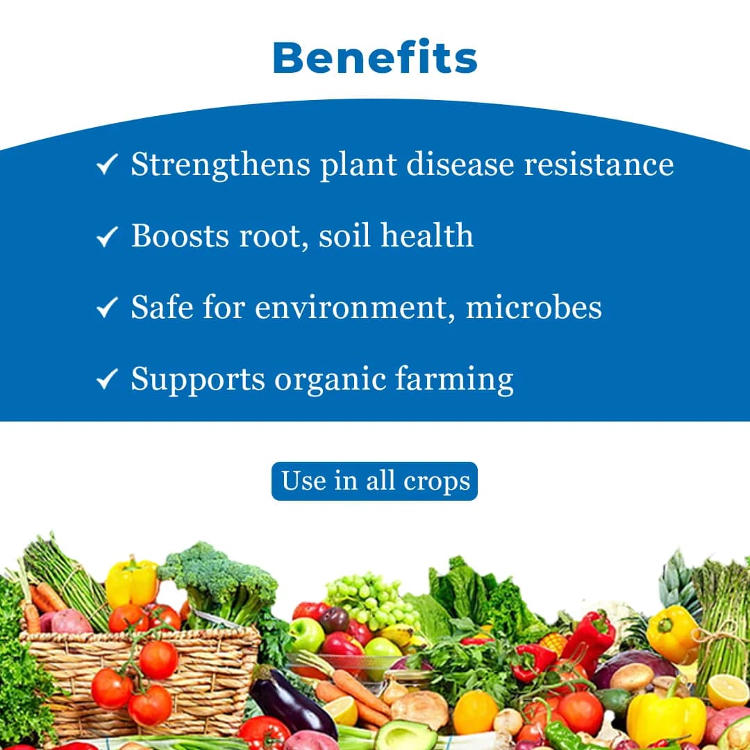 BACF Trident Trichoderma Viride 1.5% WP, An Organic Biological Fungicide For All Type of Field And Horticulture Crops - Image 4