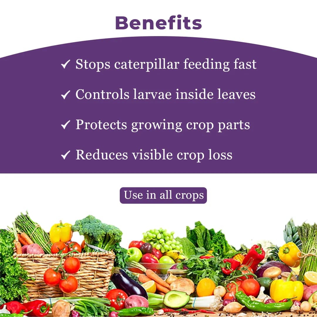 Agriventure Carzone Insecticide - Image 4