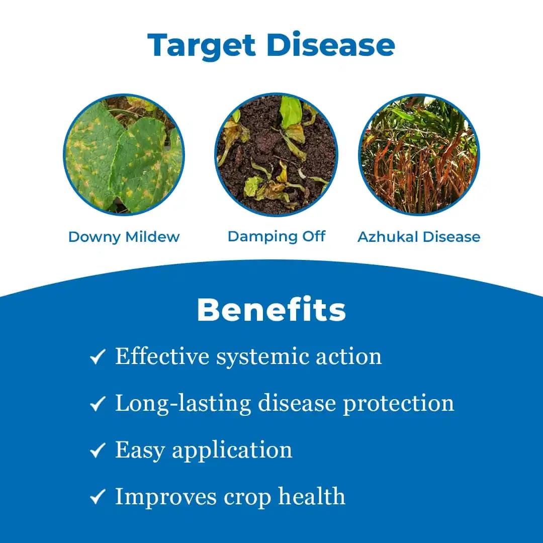 Bayer Aliette Fosetyl Al 80% WP Fungicides, A Systemic Fungicide Effective Against Oomycetes Fungi. - Image 3