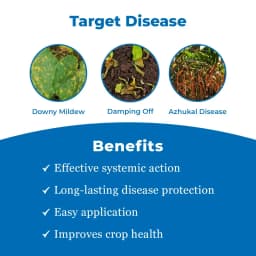 Bayer Aliette Fosetyl Al 80% WP Fungicides, A Systemic Fungicide Effective Against Oomycetes Fungi. 3