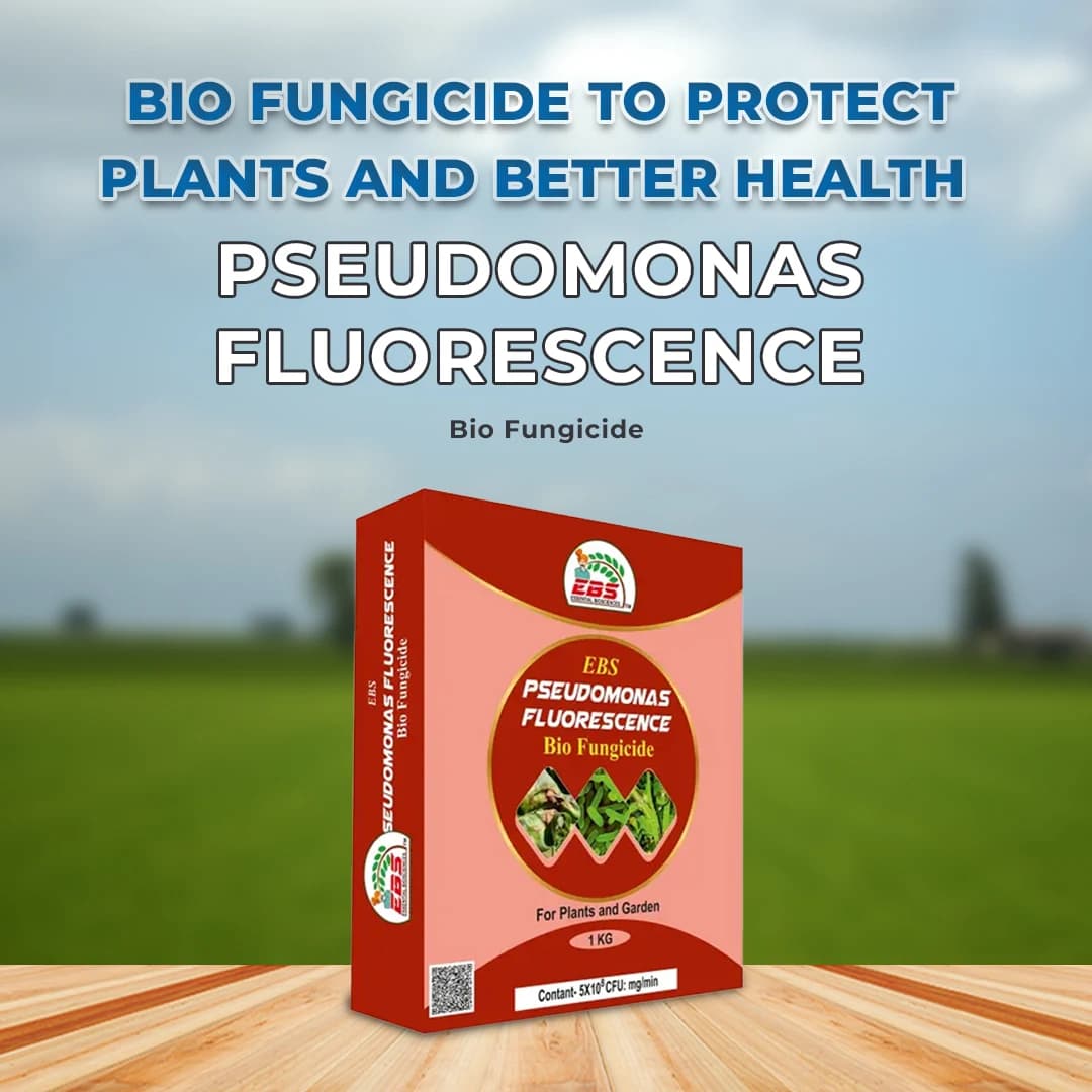 EBS Pseudomonas Fluorescence Bio Fungicide, Controlling Diseases Like Root Rot, Stem Rot, Collar Rot On All Crops. - Image 2