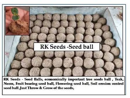 RK Seeds - Seed Balls, Economically Important Tree Seeds Ball, Teak, Neem, Fruit Bearing Seeds Ball, Flowering Seed, Soil Erosion Control Seed Ball