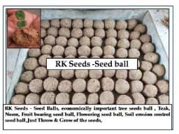 RK Seeds - Seed Balls, Economically Important Tree Seeds Ball, Teak, Neem, Fruit Bearing Seeds Ball, Flowering Seed, Soil Erosion Control Seed Ball 1