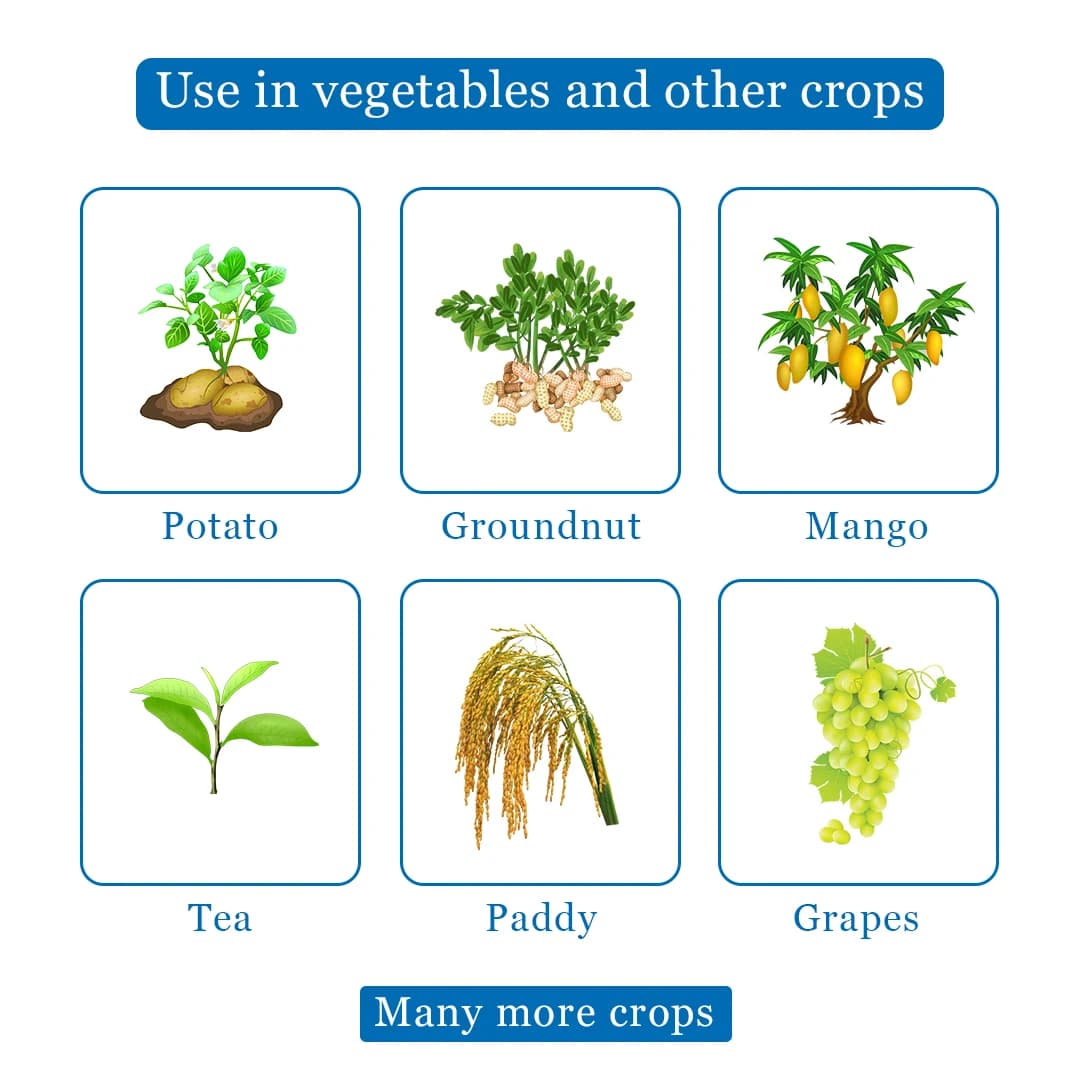 Dhanuka Sixer Fungicide - Image 4