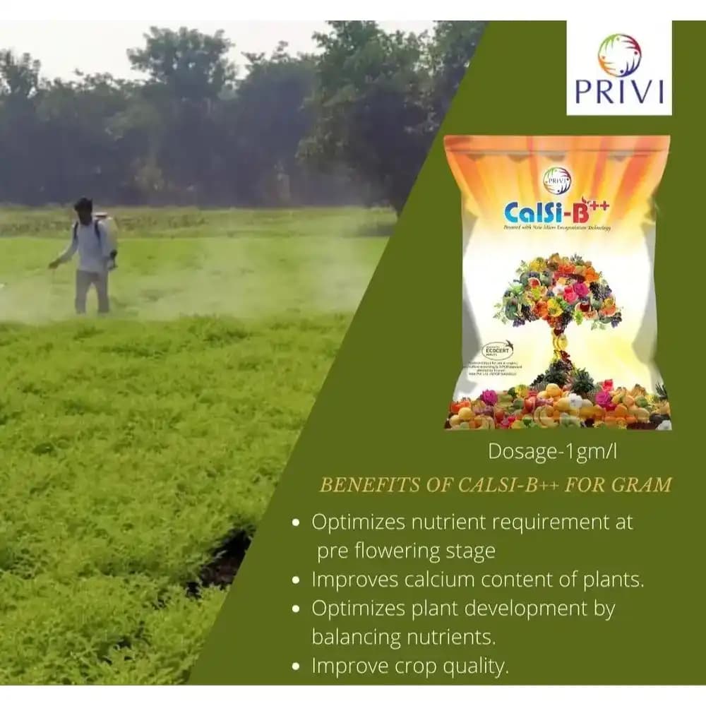 Privi Calsi-B Double Plus, Chelated Calcium And Boron Fertilizer For Enhanced Fruit Yield Supplement with Encapsulated Silicon - Image 4