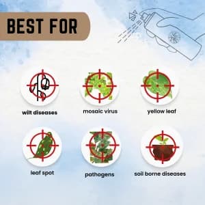 Katyayani Manganese Sulphate 30.5% Essential Micronutrient Fertilizer For Optimal Plant Nutrition and Growth - Image 6