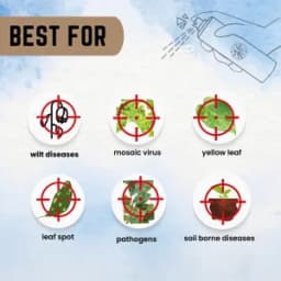 Katyayani Manganese Sulphate 30.5% Essential Micronutrient Fertilizer For Optimal Plant Nutrition and Growth 6