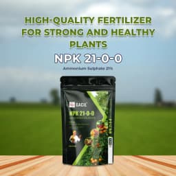 GACIL NPK 21-0-0 Ammonium Sulphate 21% Fertilizer For Garden Plants & Agriculture Farming Crops, White Crystalline Powder. 2