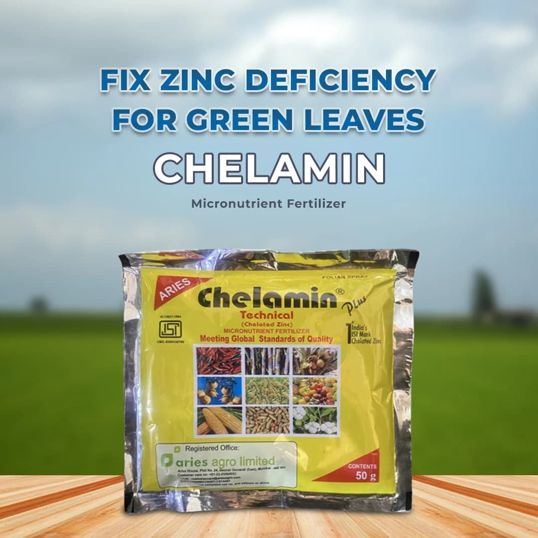 Aries Chelamin Plus Chelated Zinc EDTA Zn 12% Micronutrient Fertilizer Useful for Fulfil Zinc Deficiency. - Image 2