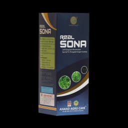 Real Sona (Grapes Special) Improves Length, Bunch Berry, Color & Weight Of Grapes 3