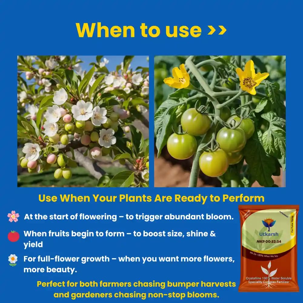 Utkarsh MKP (00:52:34) (Mono Potassium Phosphate) KH2PO4, 100% Water Soluble Complex Fertilizer, Best for Drip Irrigation - Image 4