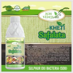 Agriventure Kheti Safalata (Sob - Sulphur Oxi Bacteria) Improves Soil Fertility Bactericide Organic Product Bio Fertilizer 3