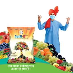 Privi Calsi-B Double Plus, Chelated Calcium And Boron Fertilizer For Enhanced Fruit Yield Supplement with Encapsulated Silicon 2