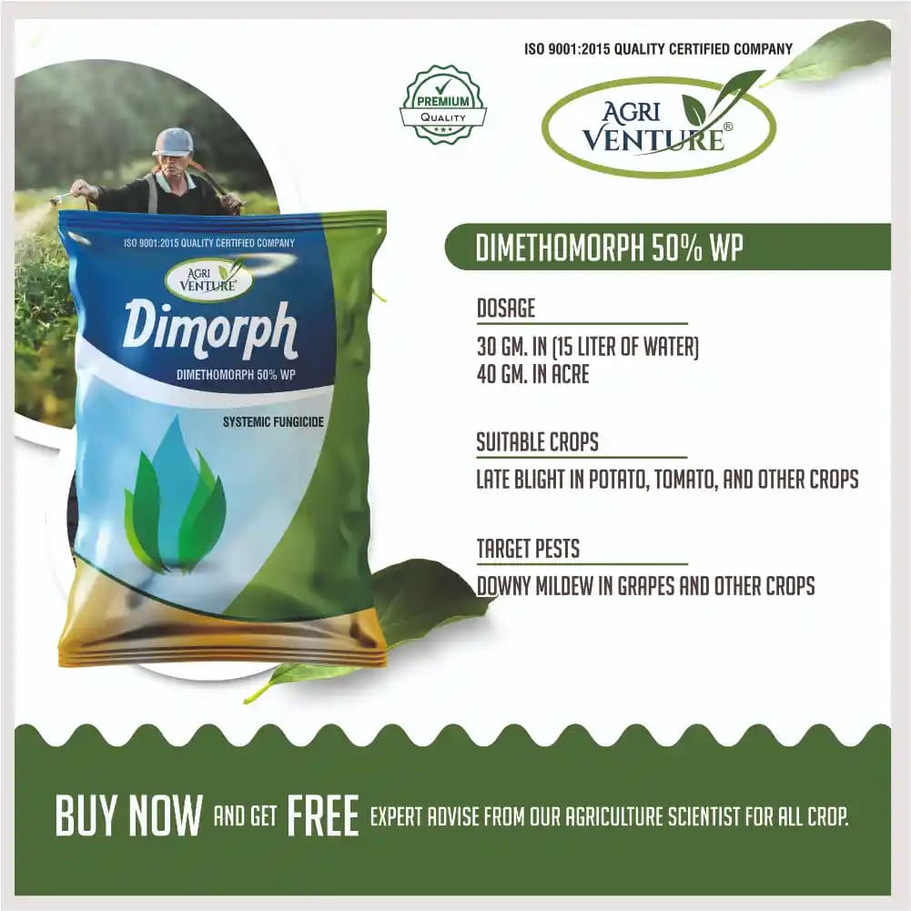Agriventure Dimorph Dimethomorph 50% WP Systemic Fungicide For Downy Mildew Control - Image 4