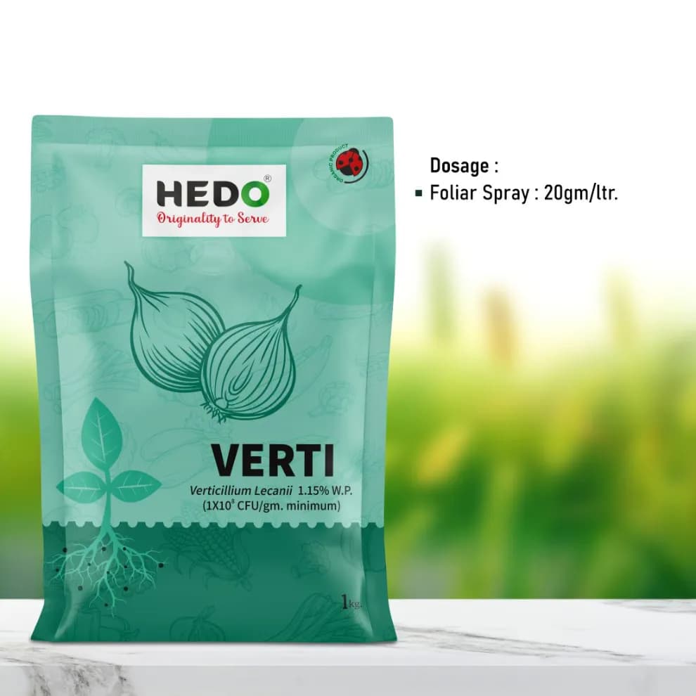 HEDO Verti (Verticillium Lecanii 1.15% Wp) Bio Pesticide, Targets A Wide Range Of Pests Like Aphids, Thrips, Etc - Image 4
