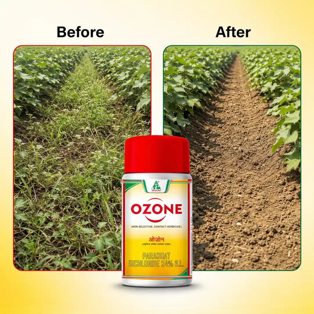 Dhanuka Ozone Herbicide - Image 7