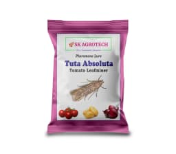 SK Agrotech Tuta Absoluta Tomato Leafminer Pheromone Trap With Lure - Effective Pest Control For Tomatoes 3