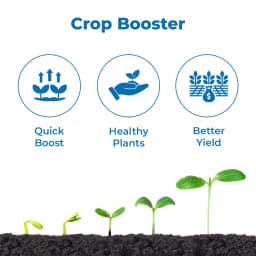 MD Biocoals MASTER GOLD Gibberellic Acid 0.186% SP Crop Booster, Increase Growth, Color, Glow, Size And Weight Of Fruit 3
