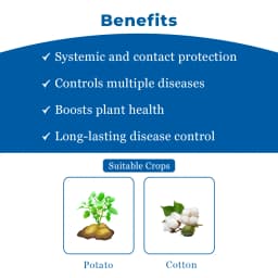 Ju Zodia Azoxystrobin 11% + Tebuconazole 18.3% SC, Dual Mode Of Action Fungicide 4