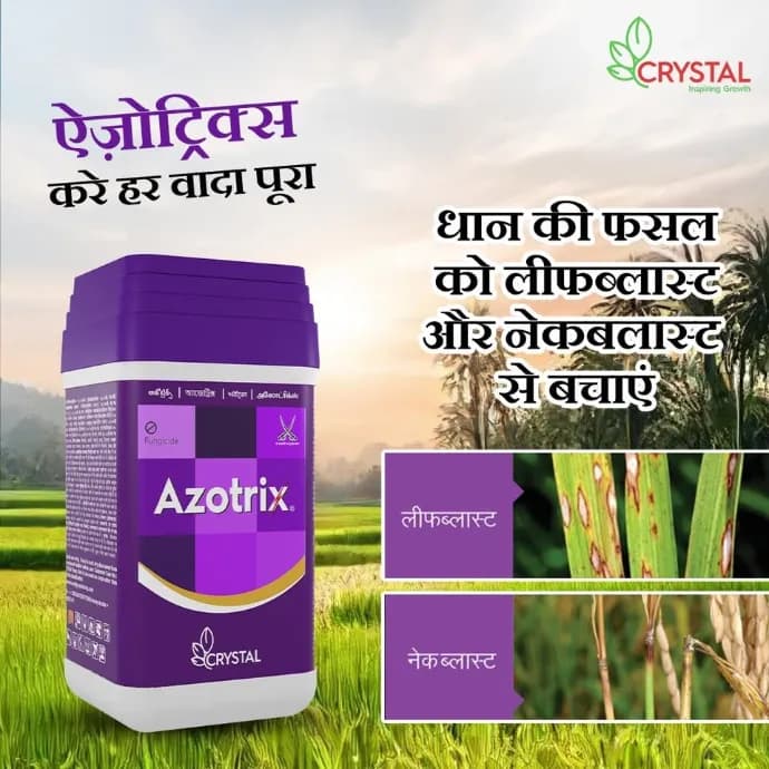 Crystal Azotrix (Azoxystrobin 16.7 % + Tricyclazole 33.3 % SC) Fungicide, Promotes Robust Plant Growth And Resilience. - Image 3