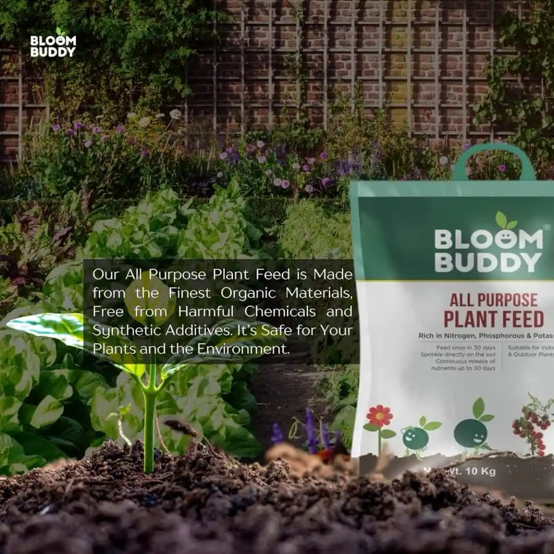 BloomBuddy All Purpose Plant Feed Granules, Organic Slow-Release Fertilizer with NPK & Micronutrients - Image 11