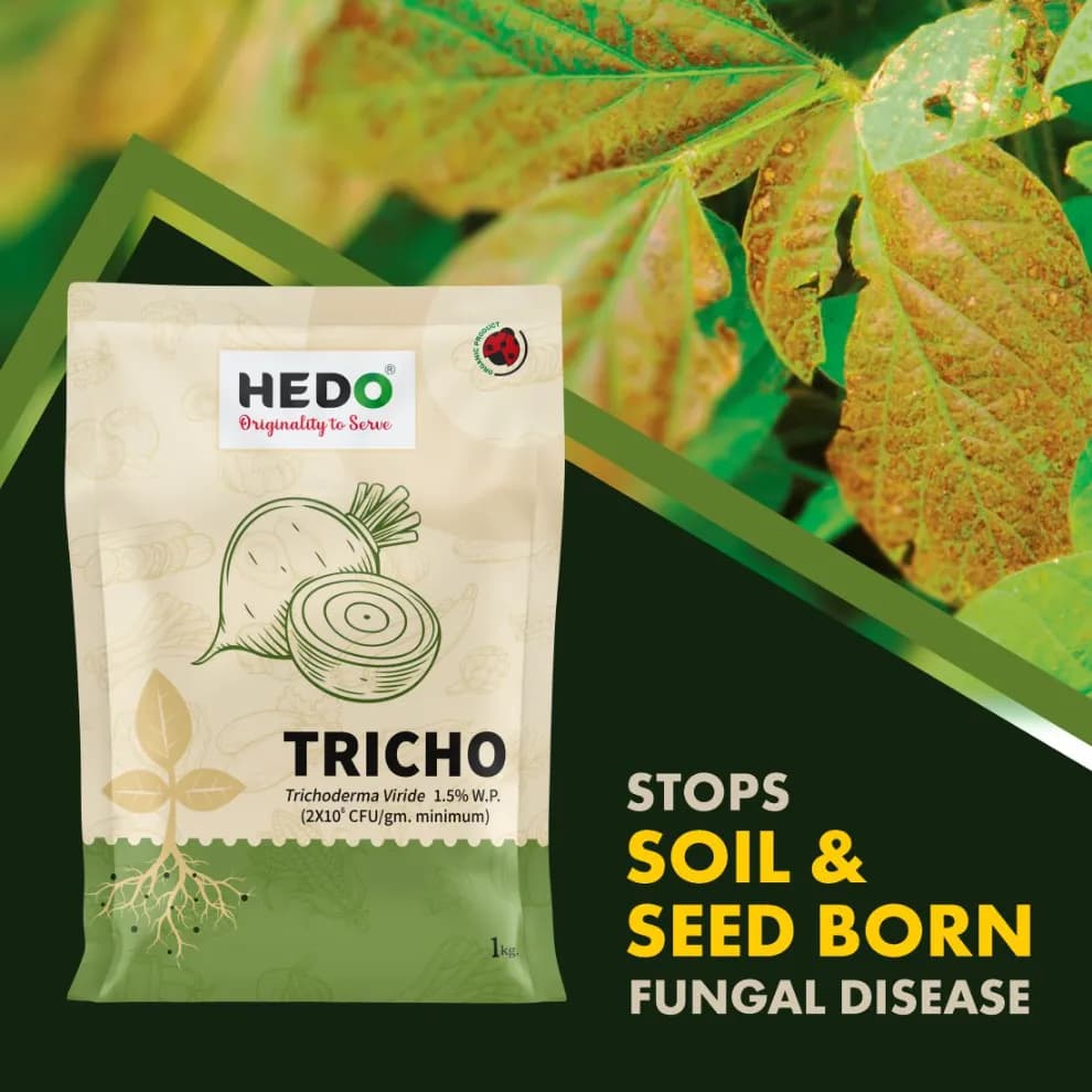 HEDO Tricho Trichoderma Viride 1.5% WP Bio Pesticide, Control A Wide Range of Soil And Seed Borne Fungal Diseases - Image 2