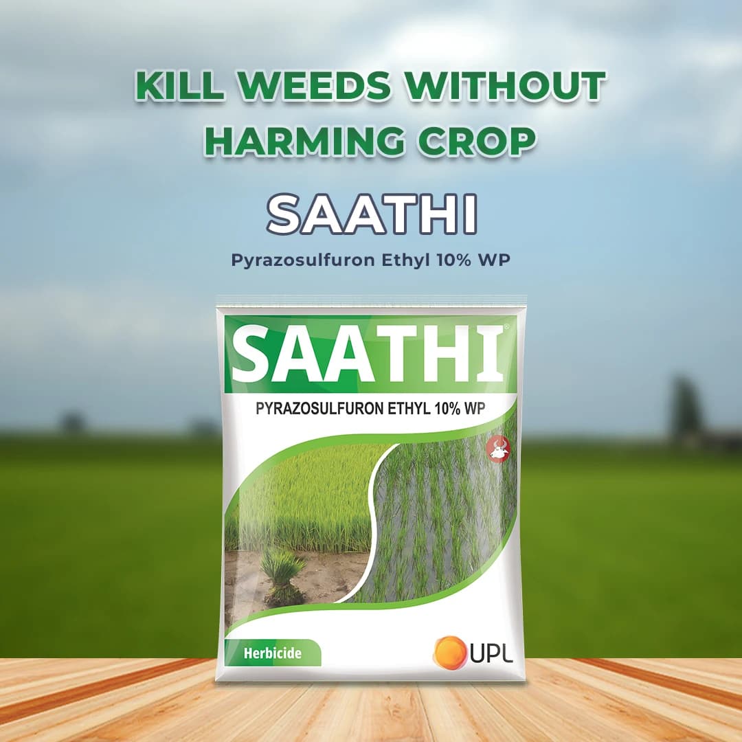 UPL Saathi Pyrazosulfuron Ethyl 10% WP Herbicide, Pre Emergence Systemic Weedicide Used in Paddy Crop to Control Grasses and Broad Leaf Weeds - Image 2
