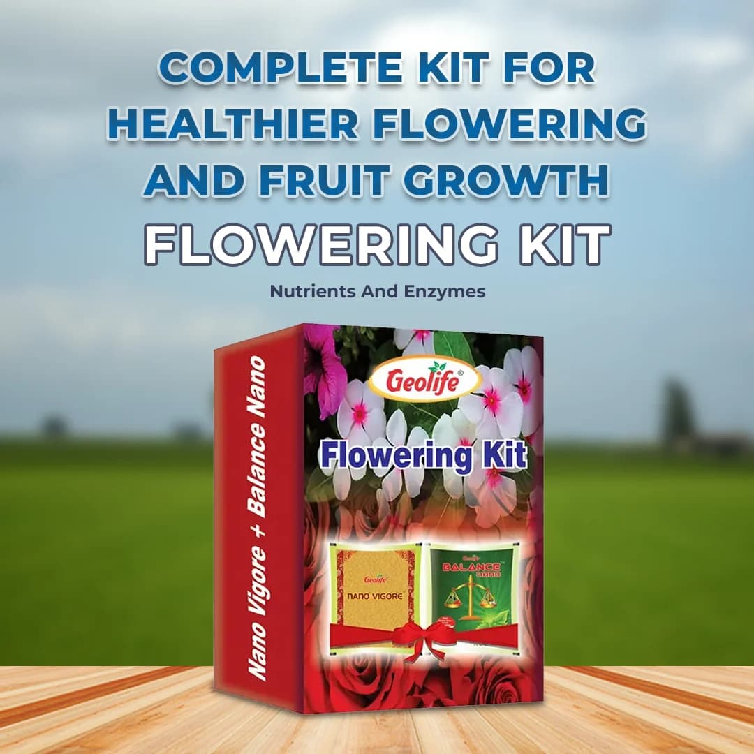 Geolife Flowering Kit 51 GM (Nano Vigore 1 Grm + Balance Nano 50 Grm), Unique Combination of Nutrients And Enzymes - Image 2
