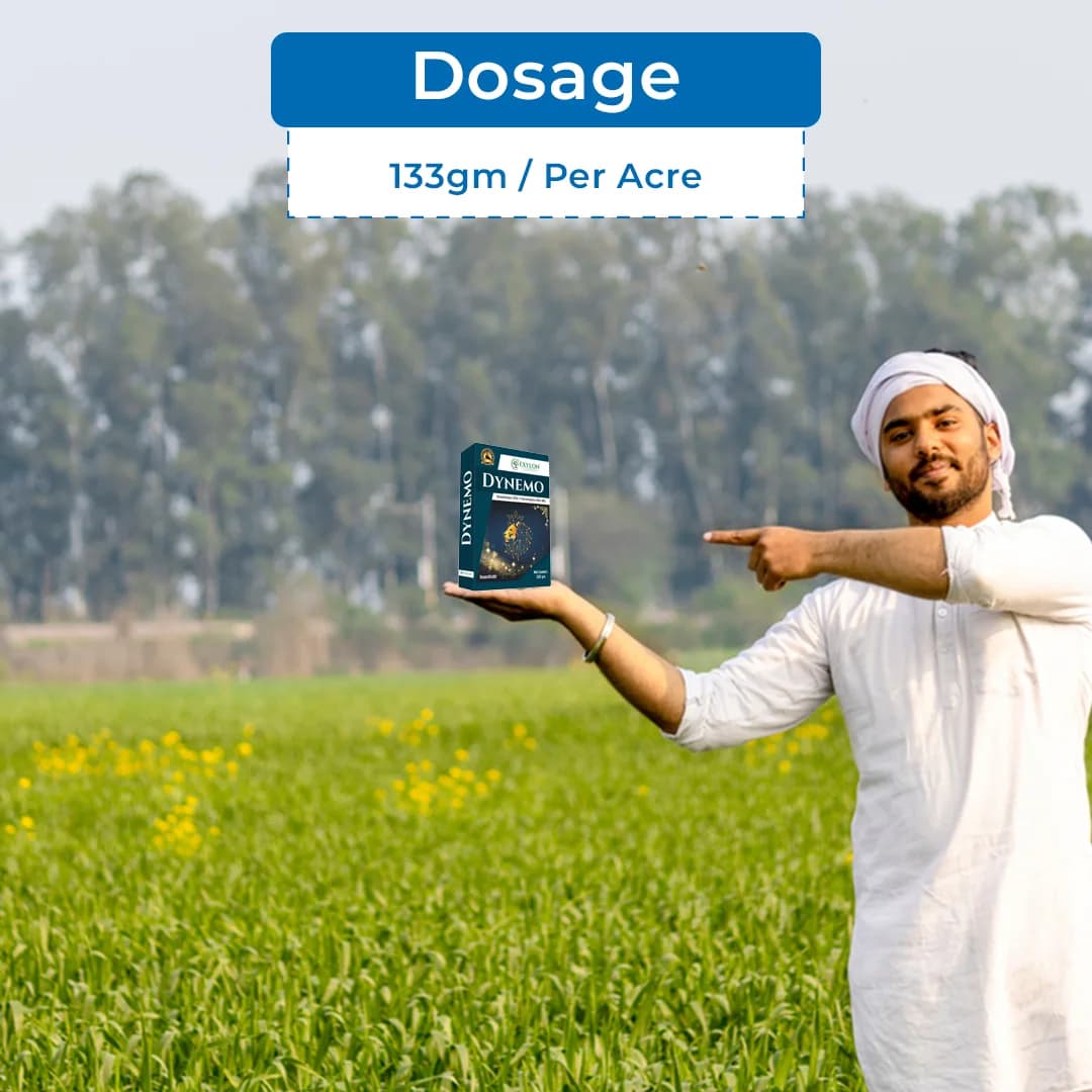 Exylon Dynemo Insecticide - Dinotefuran 15% + Pymetrozine 45% WG - Image 5